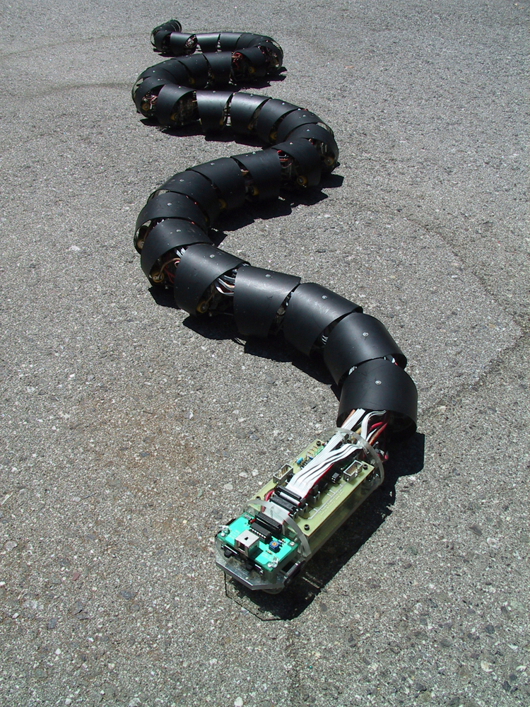 Robot Snake